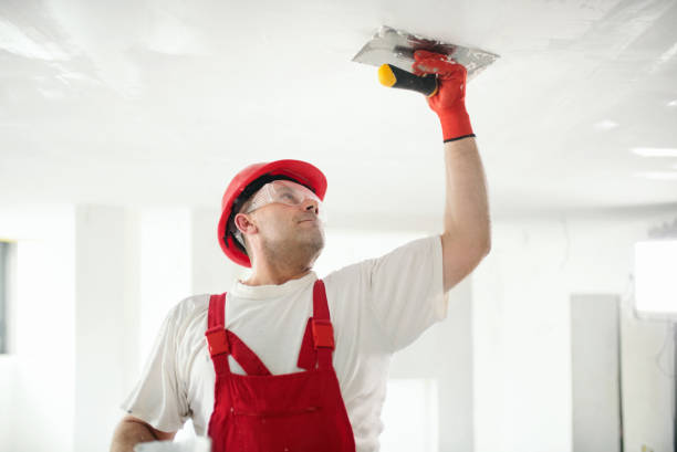 Best Drywall Crack Repair  in Burlington, ND